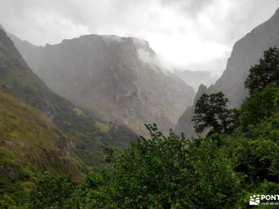 Corazón de Picos de Europa;parque natural arribes del duero urdaibai reserva de la biosfera ercavic